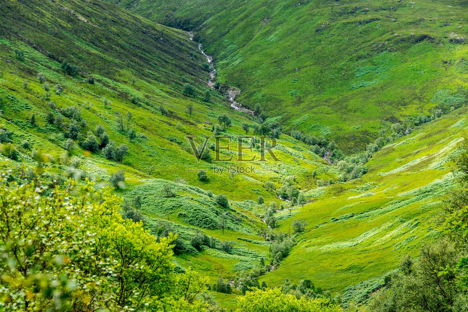 沿着西高地路照片摄影图片