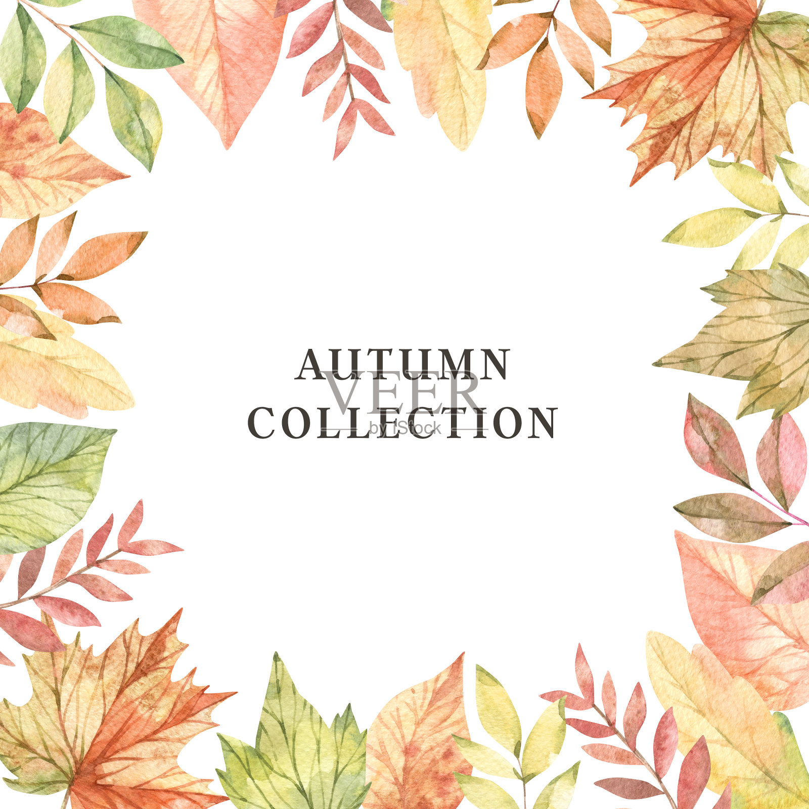 手绘水彩插图。框架与秋天的树枝，枫叶，橙色和绿色的树叶。森林的设计元素。秋天收集。完美的季节性广告，邀请，卡片插画图片素材