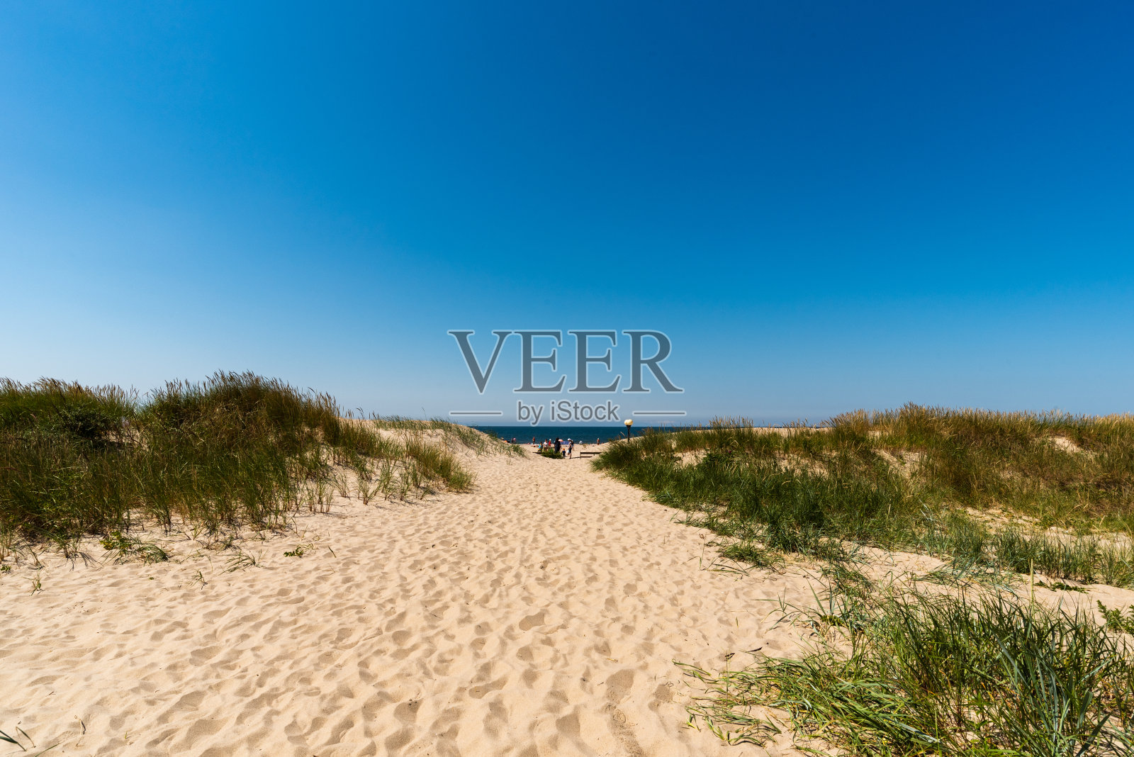 海景穿过沙丘和草丛，长长的沙路通向大海照片摄影图片