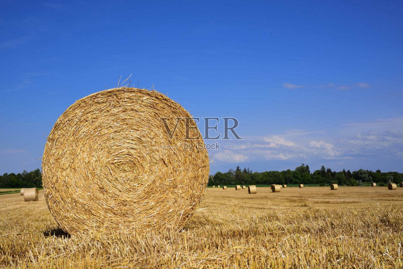 夏天，在巴伐利亚州的蓝天下，稻草捆被铺在收割后的麦田里照片摄影图片