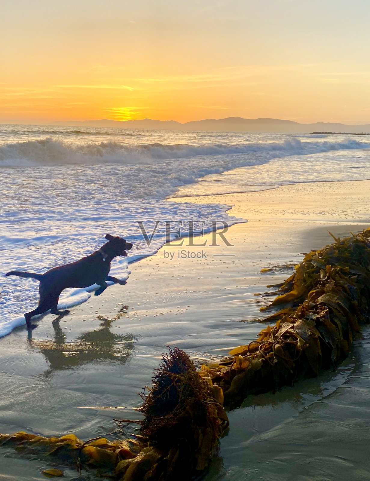 我一点也不在乎照片摄影图片