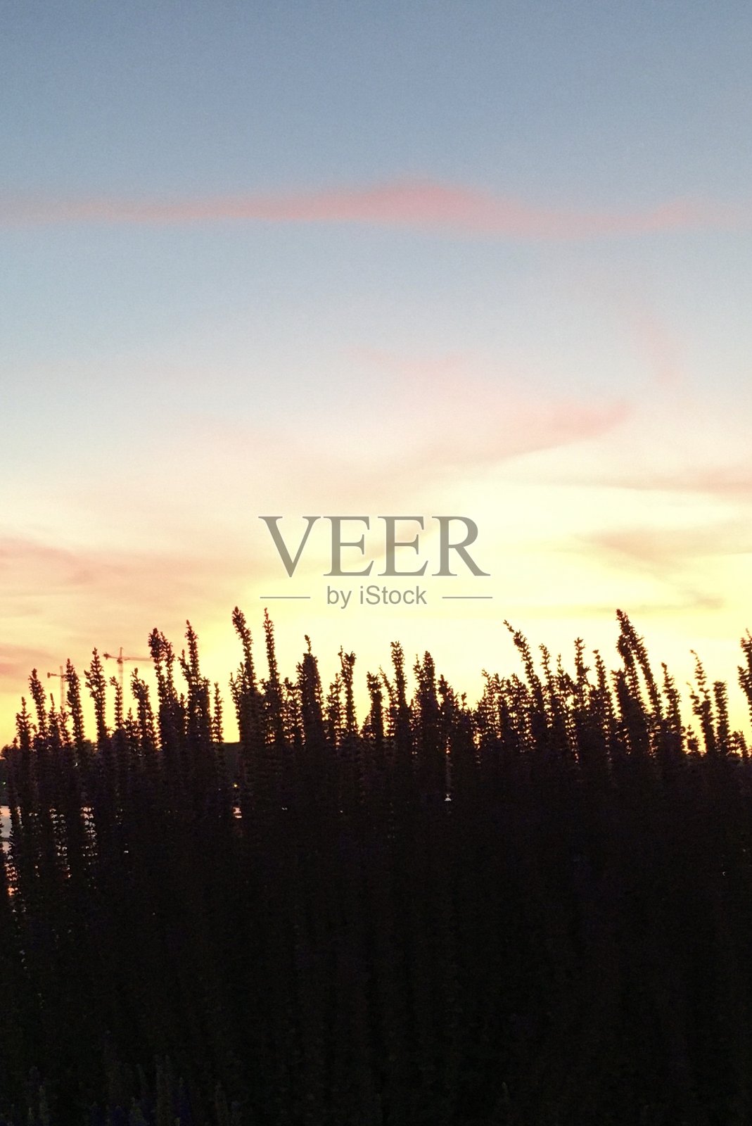 纽约曼哈顿哈德逊河公园6月的日落。照片摄影图片