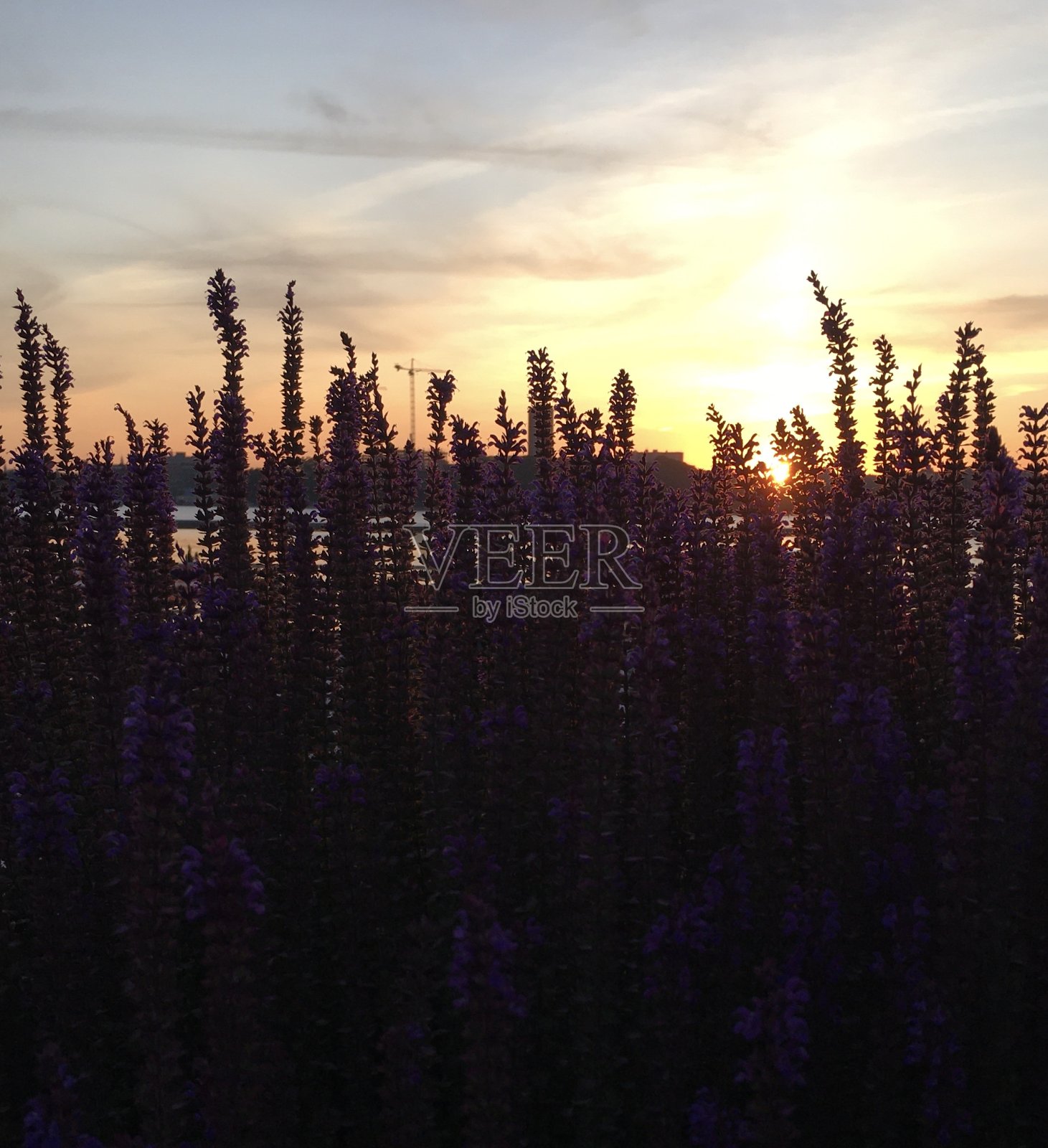 纽约曼哈顿哈德逊河公园6月的日落。照片摄影图片