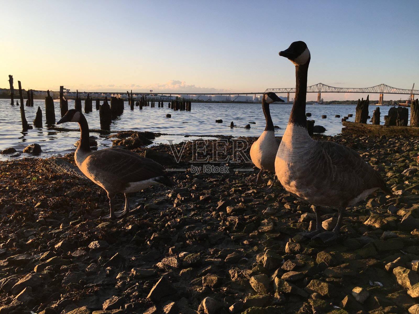 七月日落，纽约，纽约。照片摄影图片