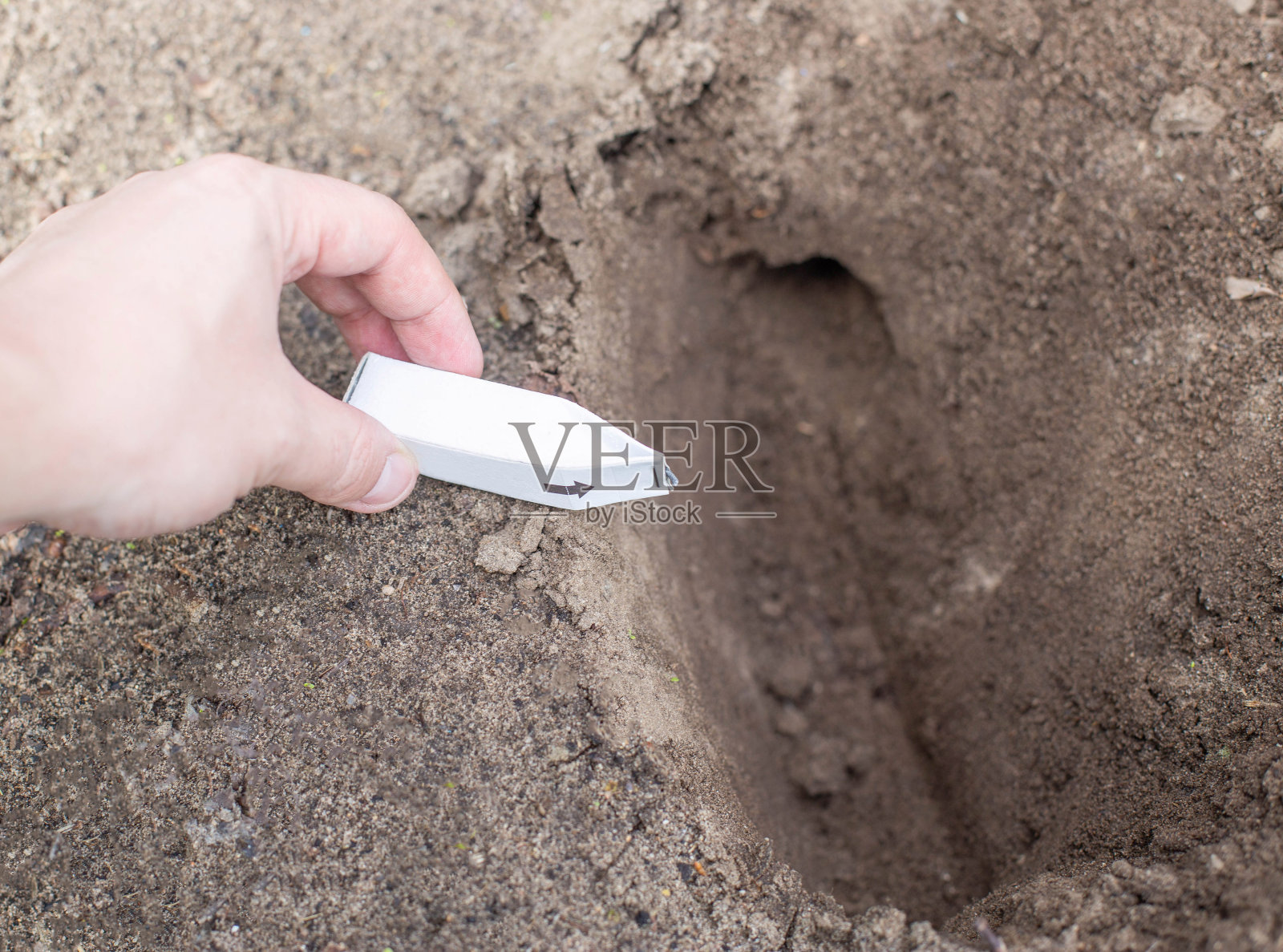 用烟雾弹、虫洞把鼹鼠从夏日小屋中驱赶出来照片摄影图片