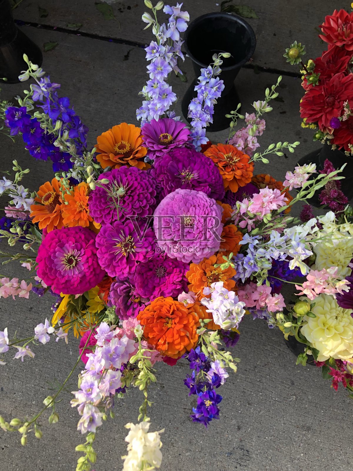 夏天的气味照片摄影图片