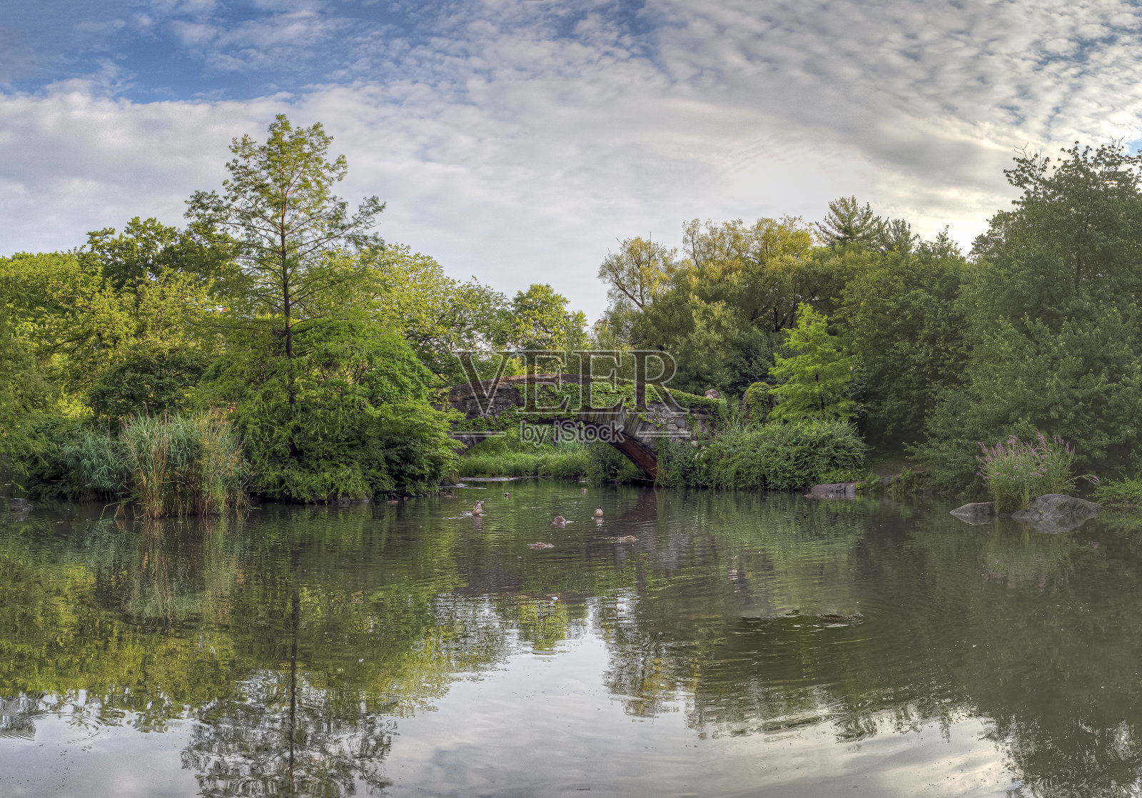 中央公园的盖普斯托桥照片摄影图片