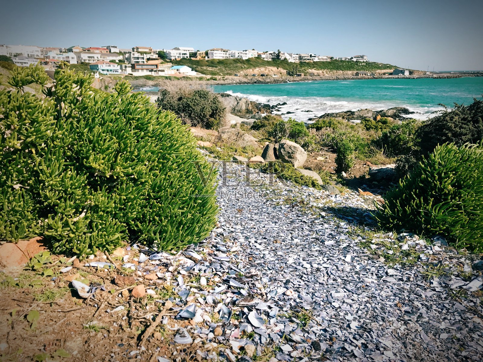 在海滩边散步照片摄影图片