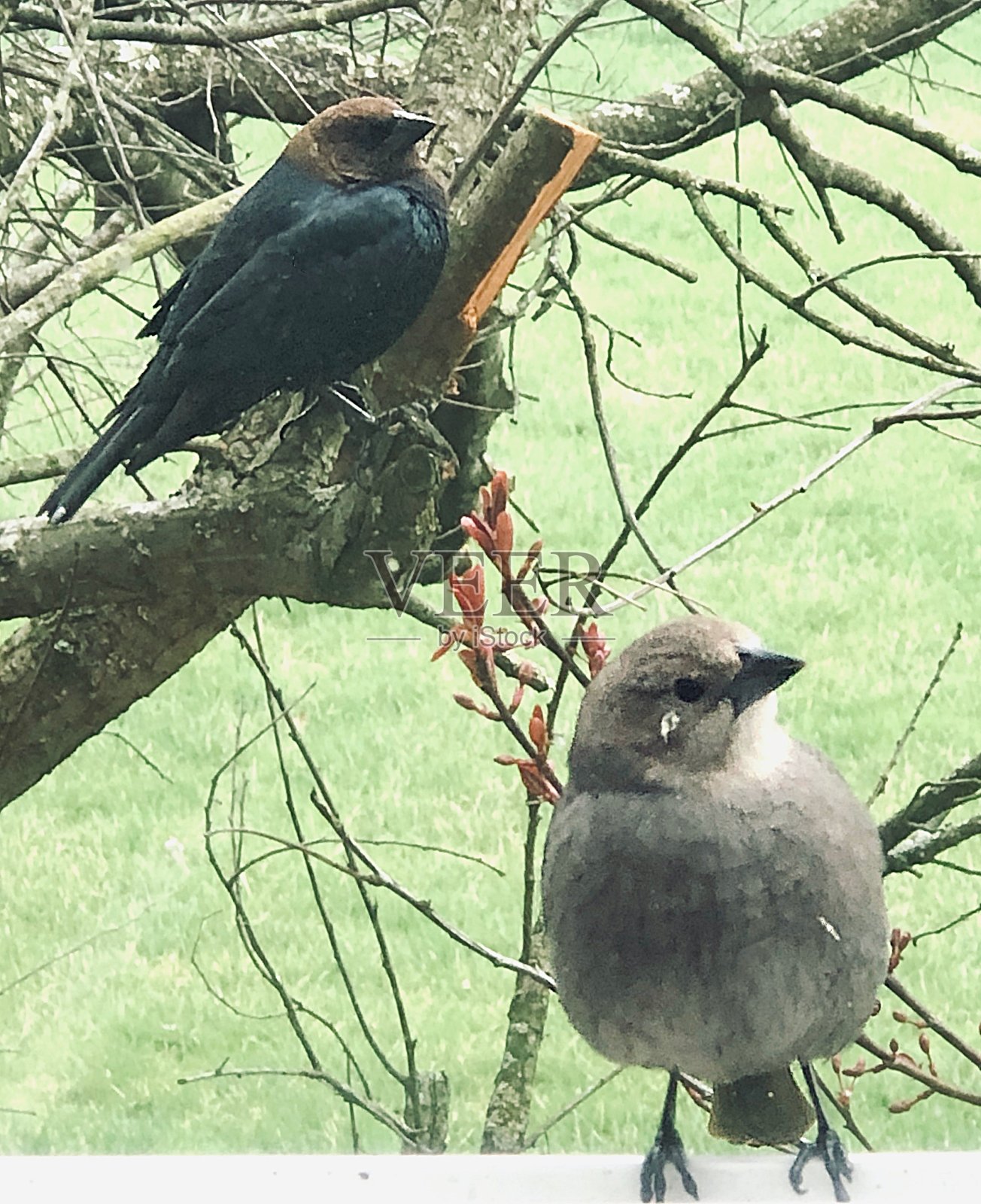 两个为一个照片摄影图片