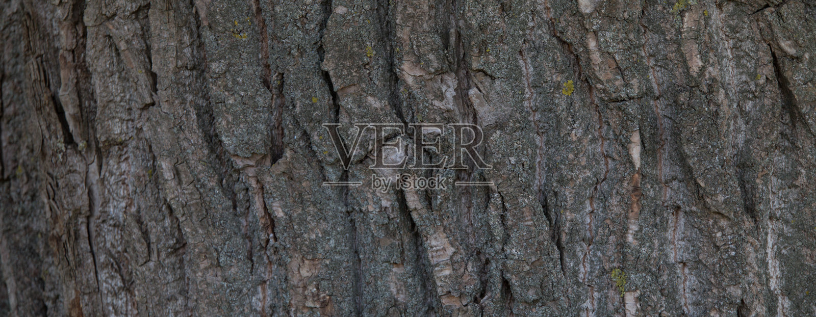 抽象的木制背景。标题。照片摄影图片