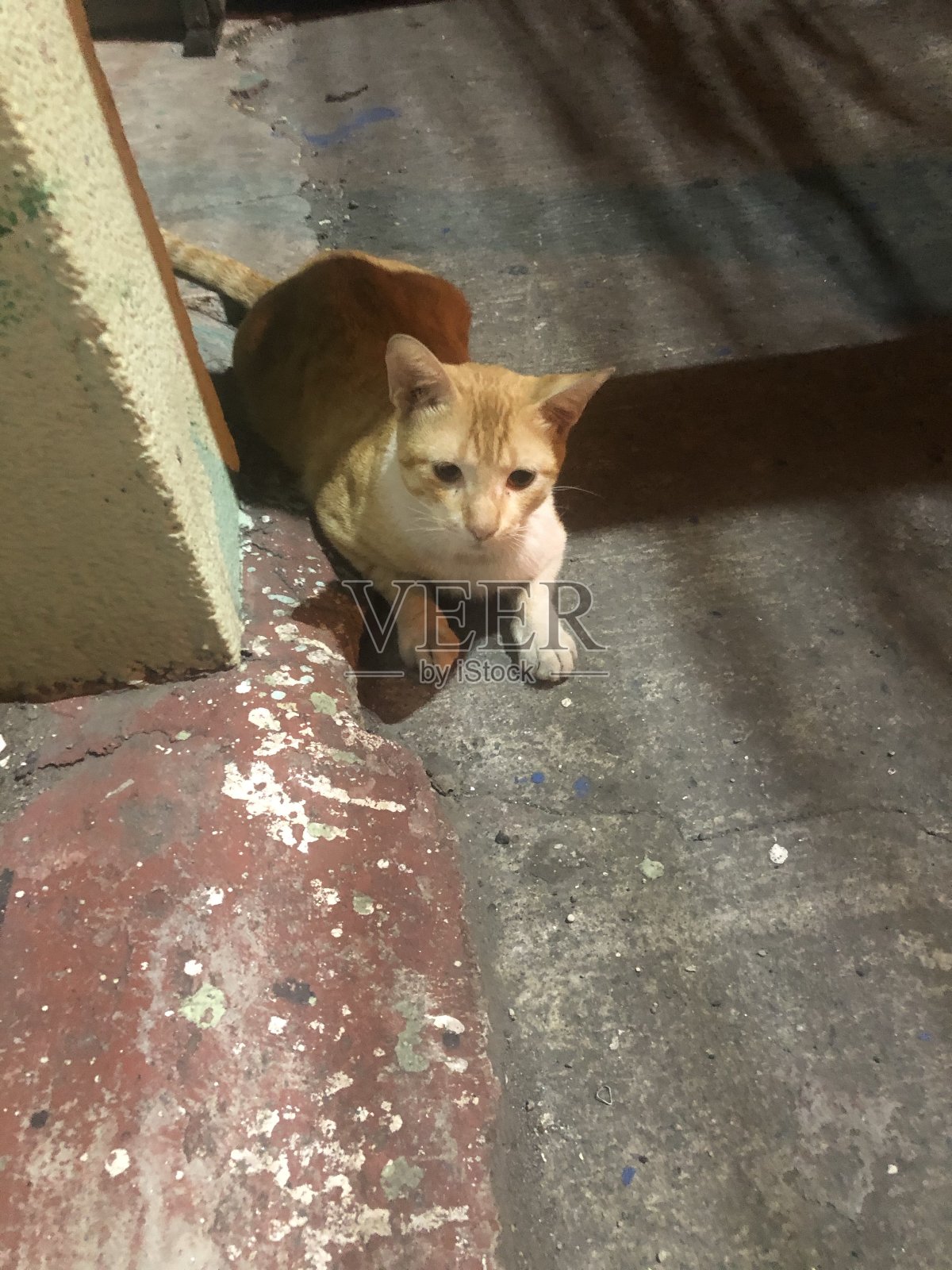 孤独和等待照片摄影图片