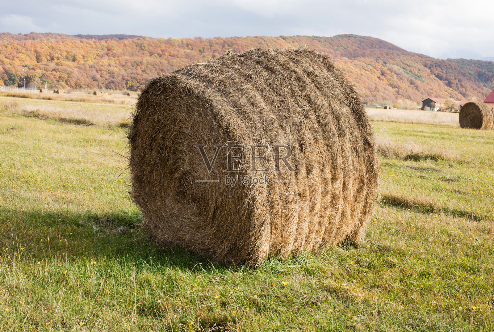 有一个包照片摄影图片