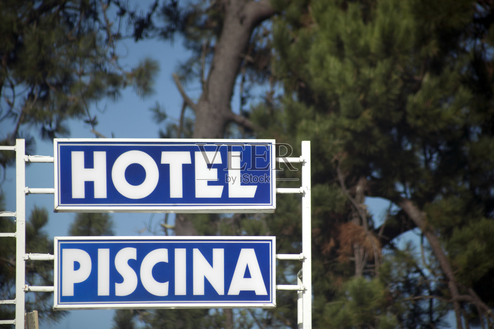 酒店和游泳池的标志，松树的树枝和清澈的蓝天背景。照片摄影图片