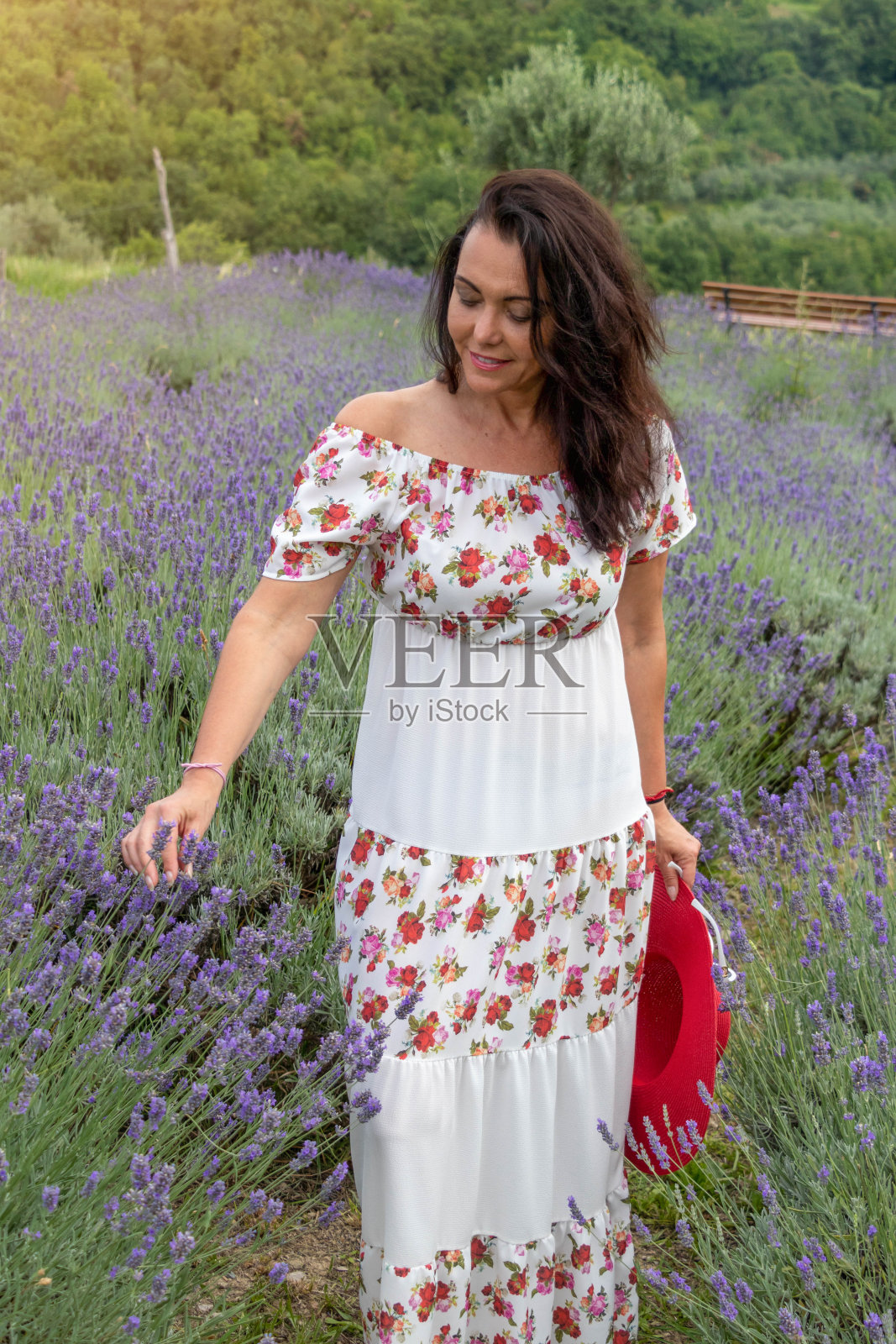 薰衣草田里的美女照片摄影图片