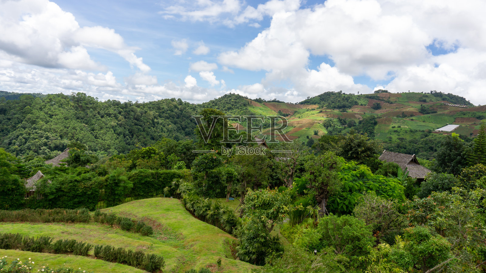 美丽的景色，白色蓬松的云在生动的蓝天上，在绿色的山照片摄影图片