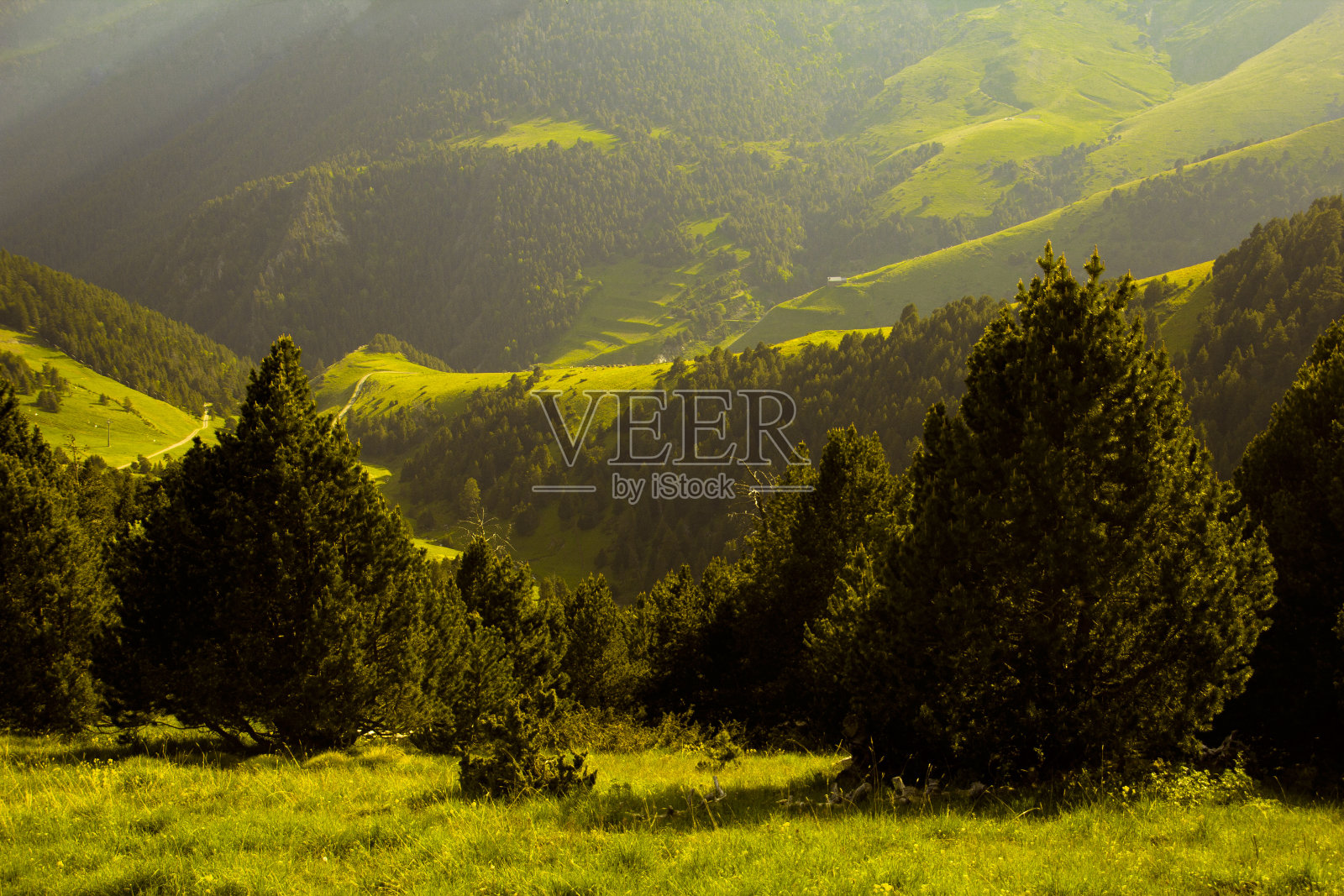 安道尔塞图里亚山谷的绿色景观照片摄影图片