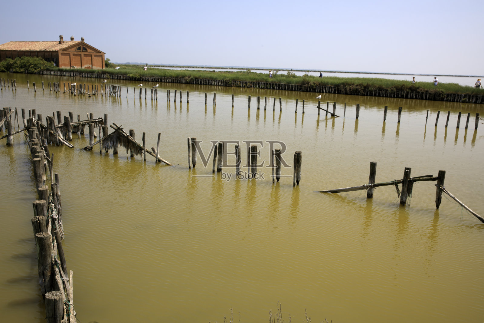 波河，三角洲地区公园，艾米利亚罗马涅，意大利照片摄影图片