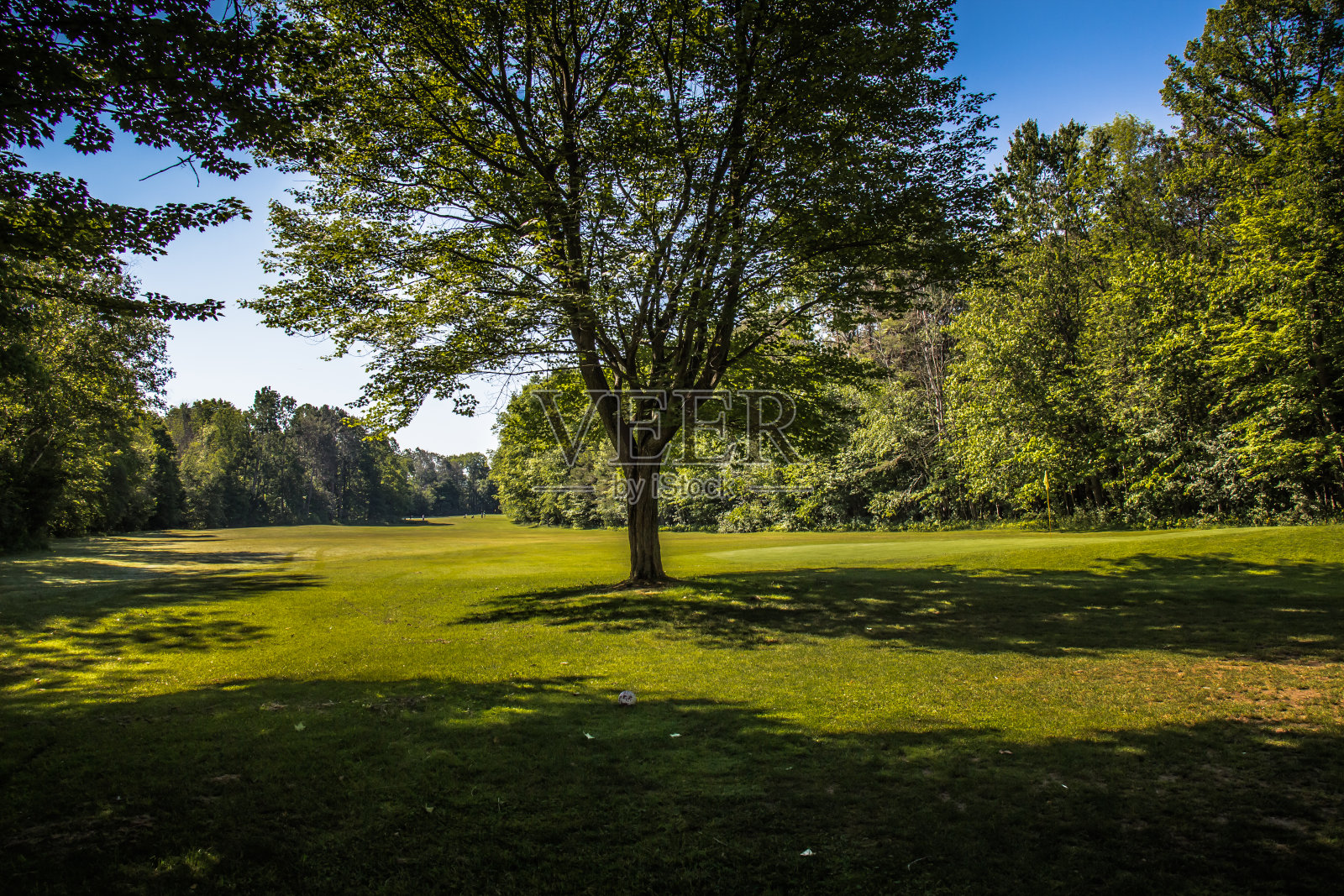 高尔夫球场照片摄影图片