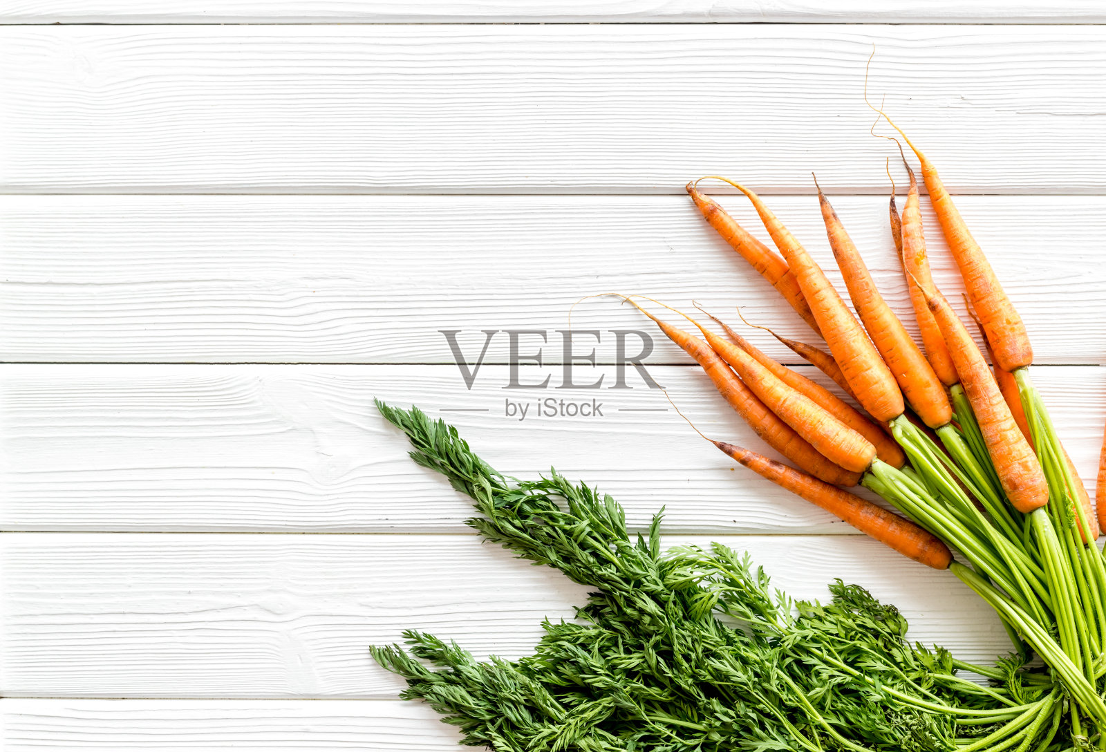 在拷贝空间上方有一串绿色的新鲜胡萝卜照片摄影图片