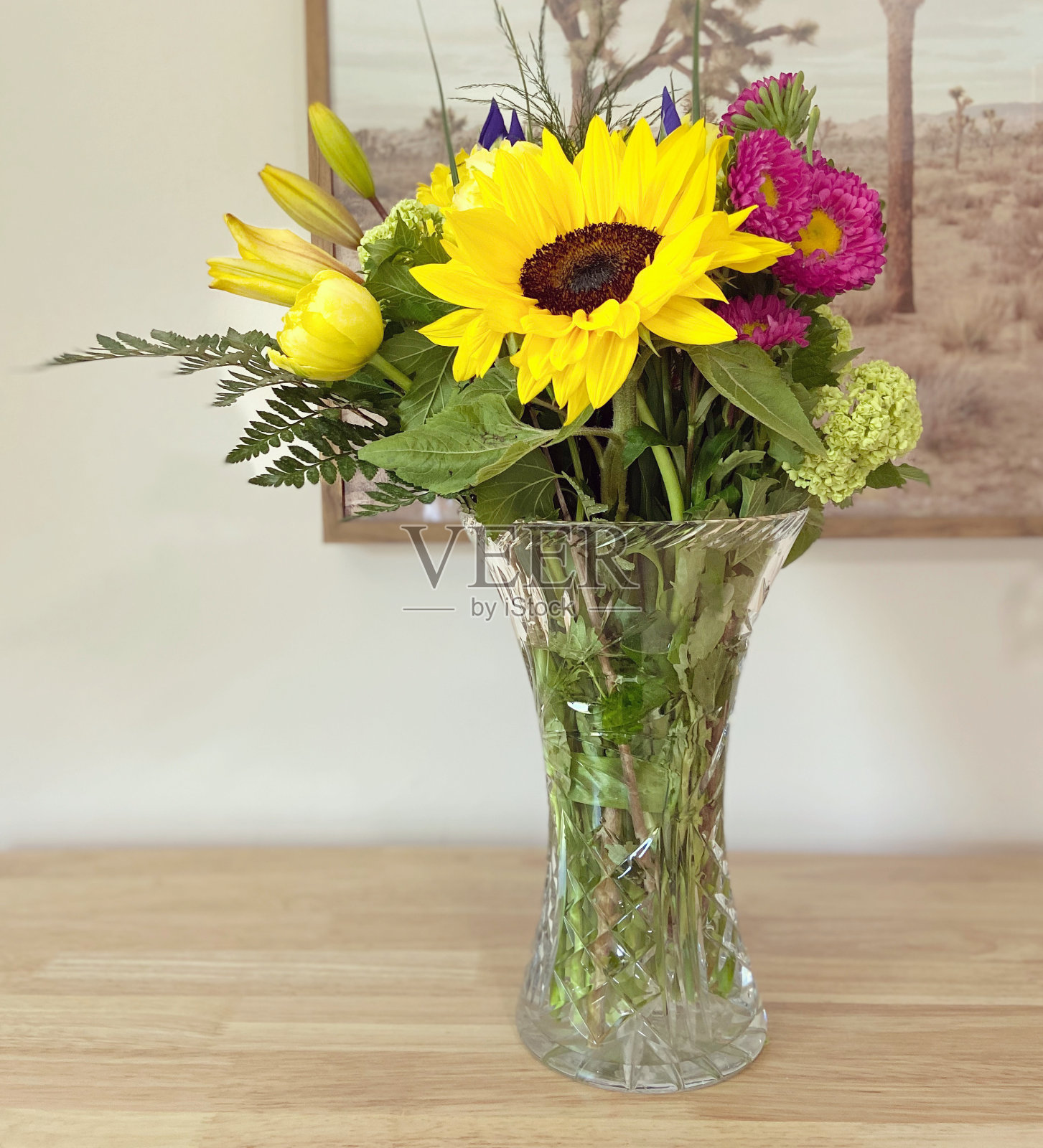 混合气味照片摄影图片