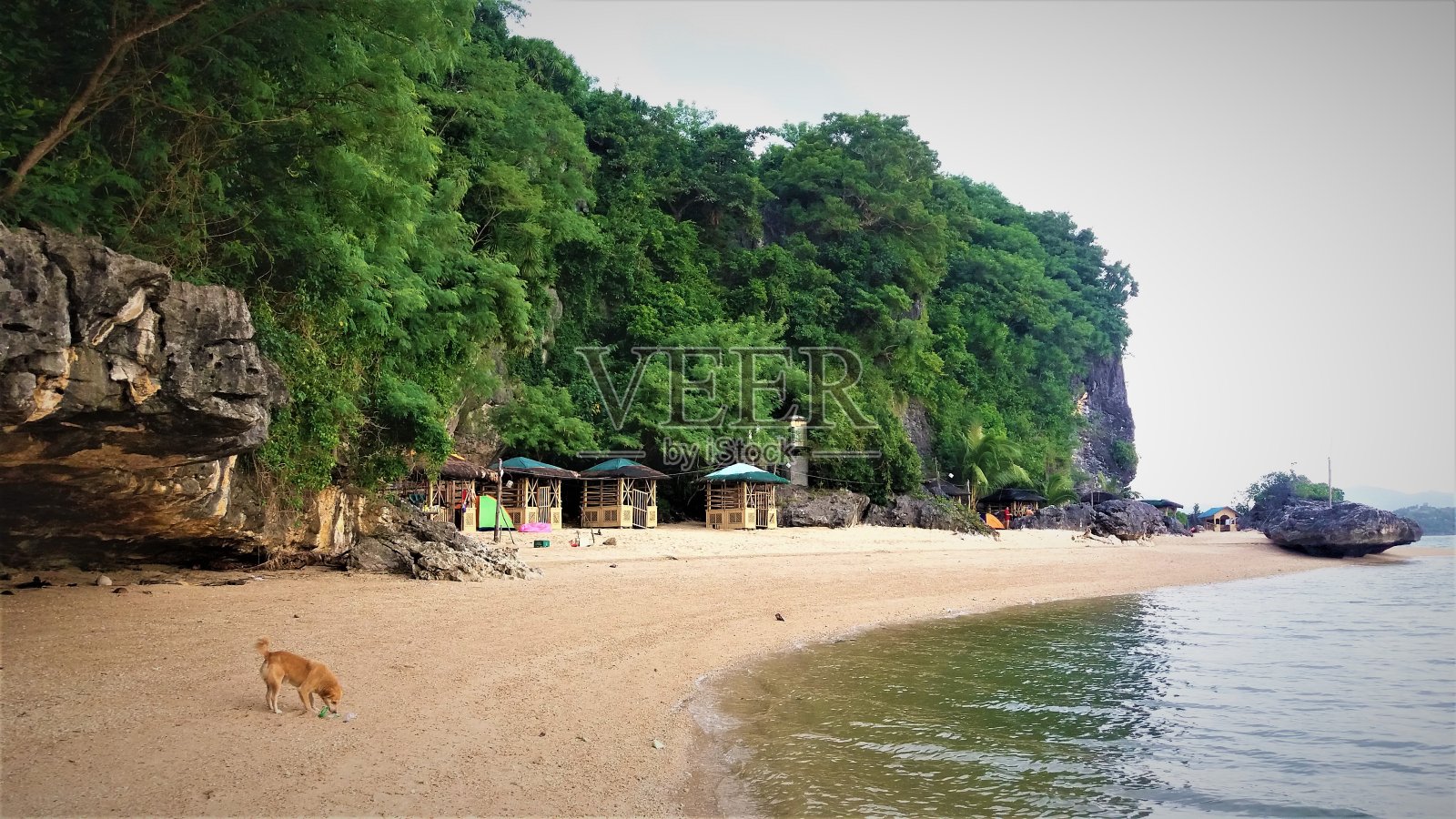 这是菲律宾海边的一个村庄，周围都是绿色的异国树种照片摄影图片