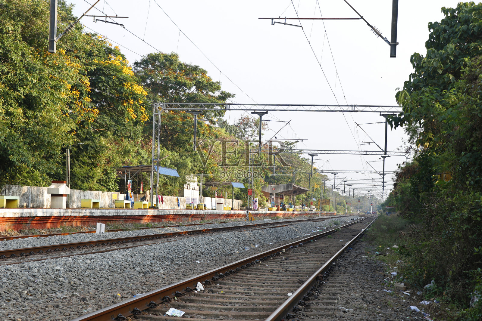印度的铁路景观穿过农村照片摄影图片