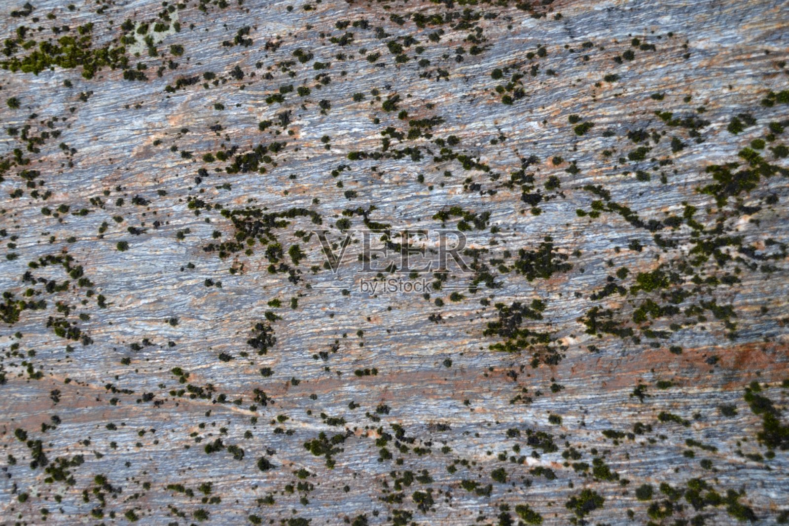 闪亮的页岩岩层与小块绿色苔藓在整个框架作为背景照片摄影图片