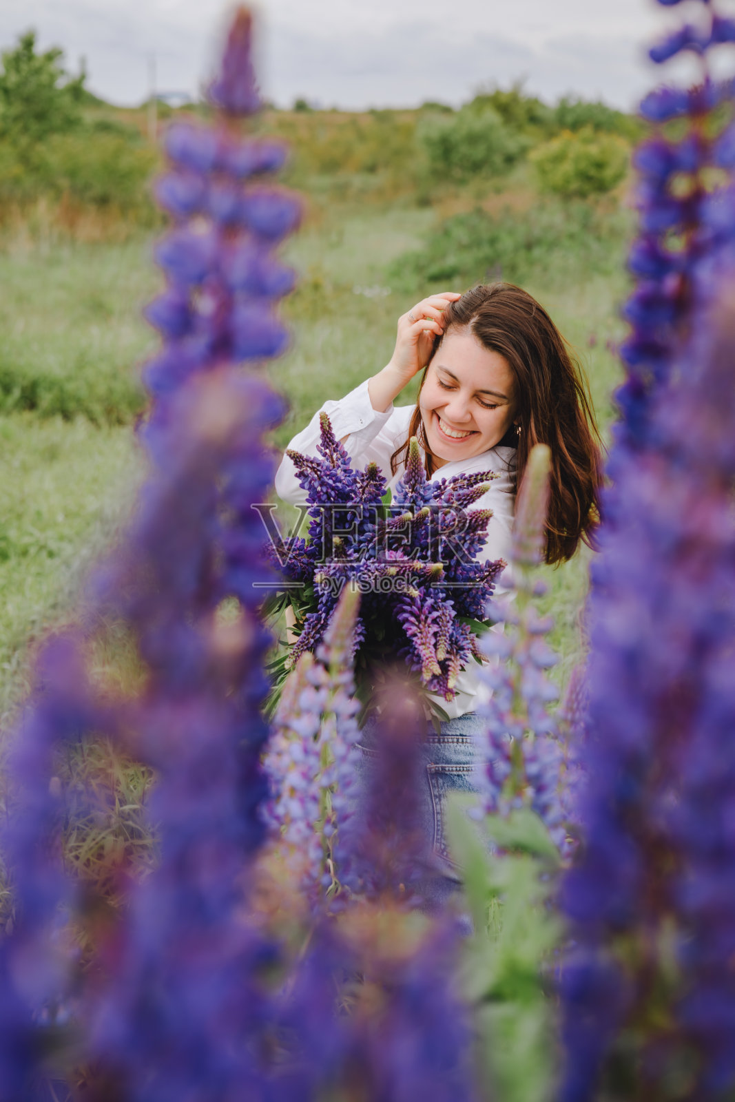 女人在盛开的羽扇豆地里照片摄影图片
