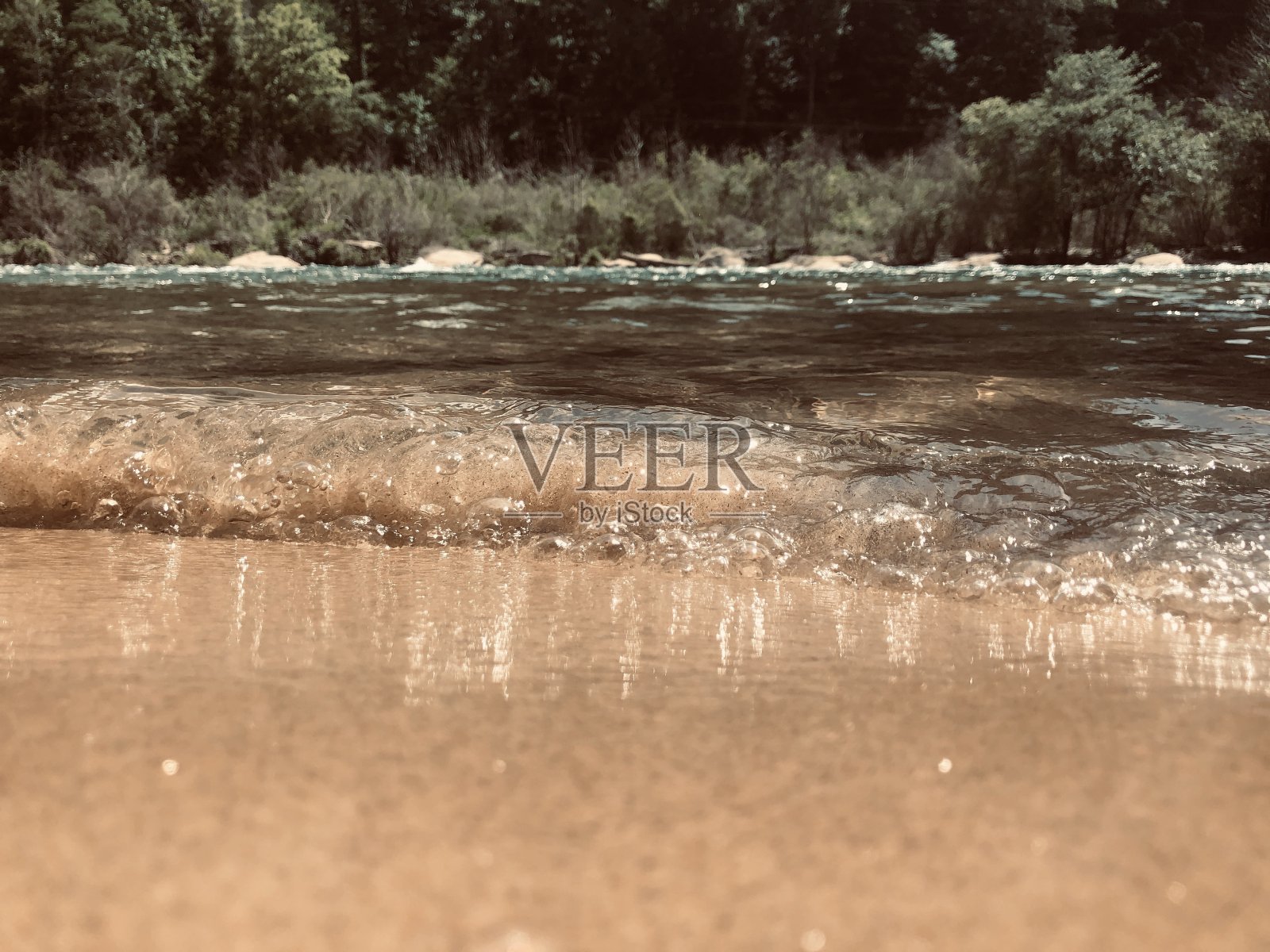 桑迪波照片摄影图片