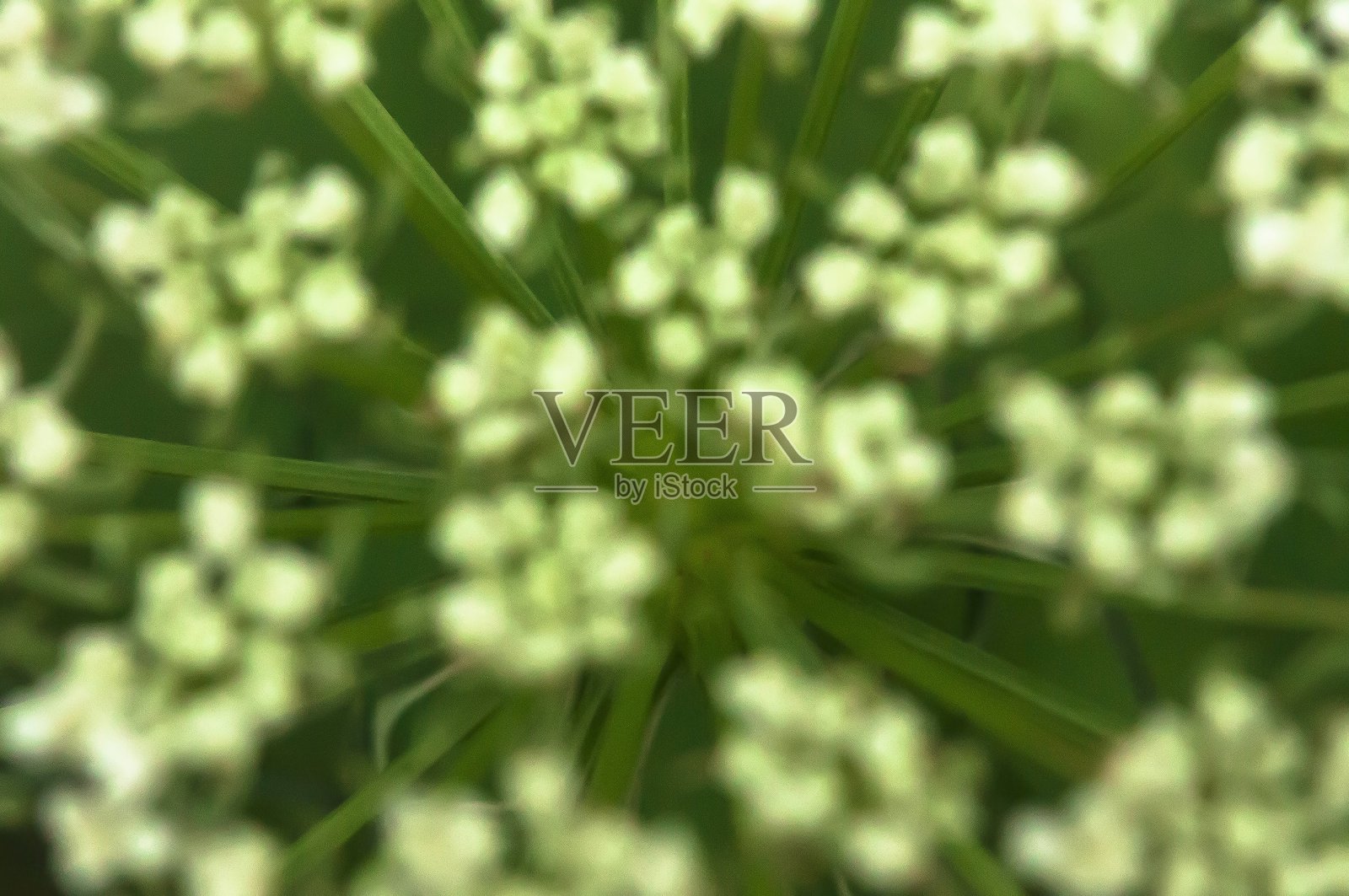 亚罗照片摄影图片