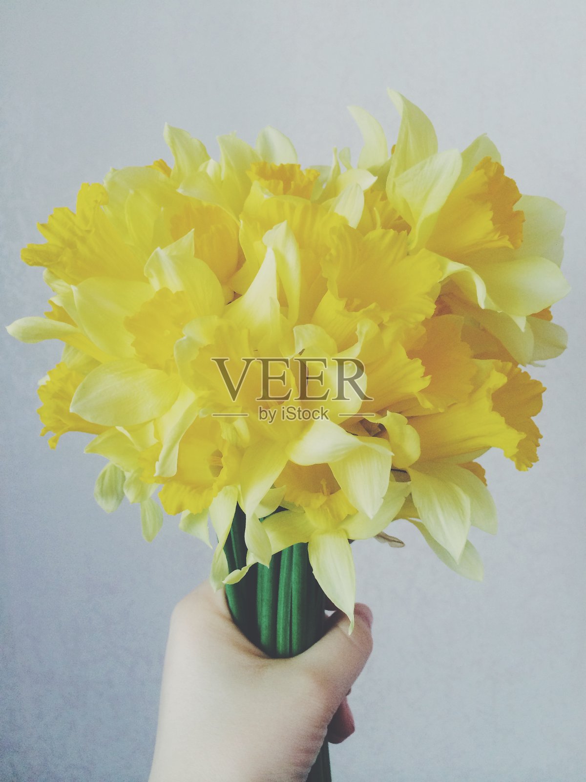 植物标本室，女人，花束和植物照片摄影图片