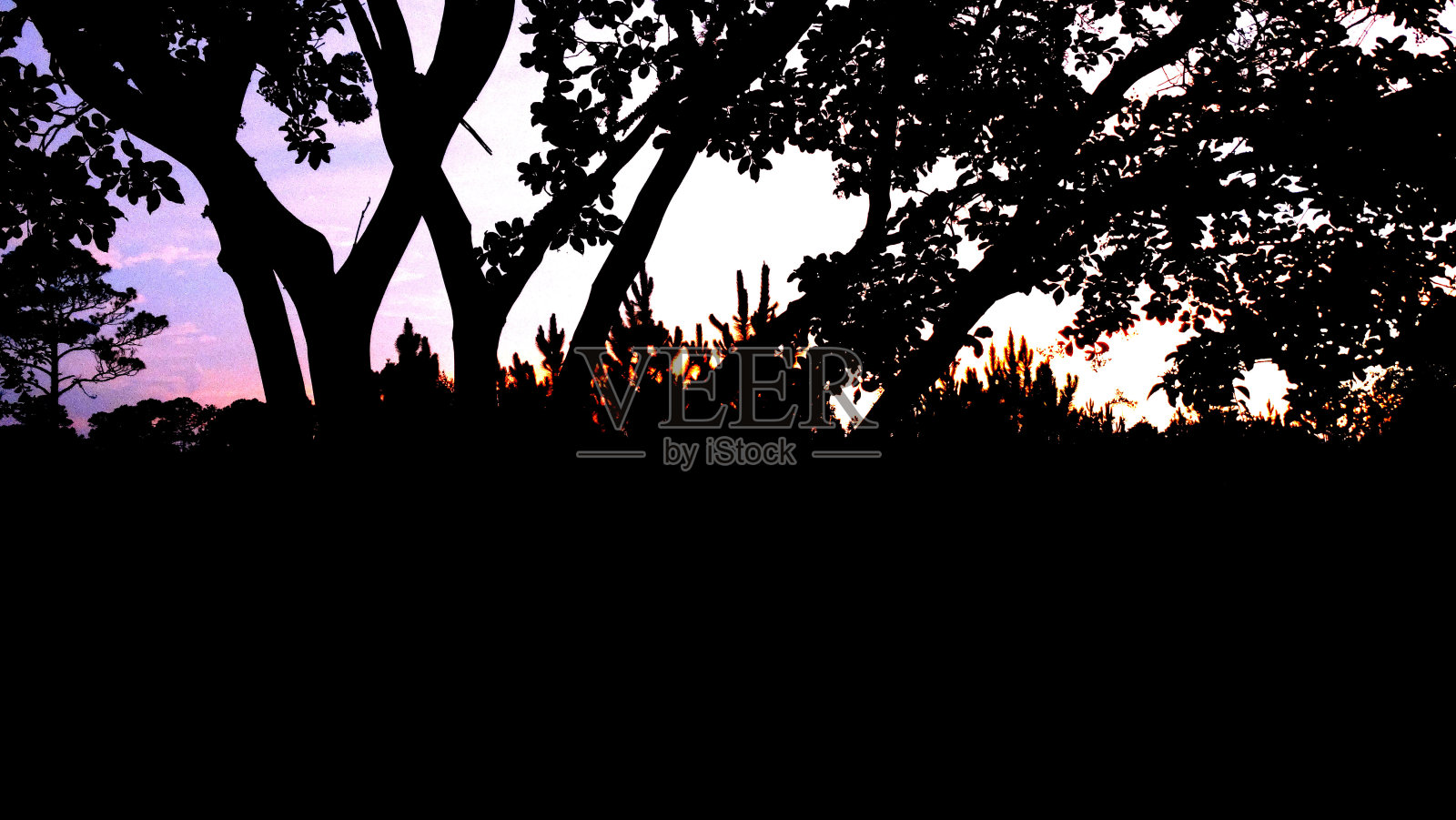 地平线后的蓝色和紫色日落剪影照片摄影图片