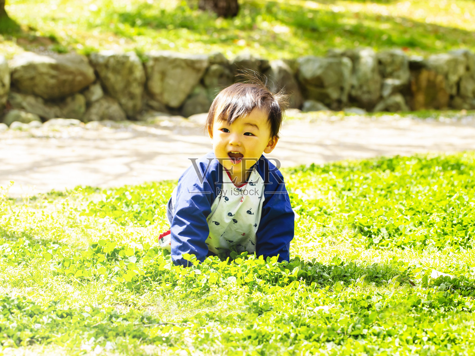 一个一岁小男孩在草地上爬来爬去的肖像。照片摄影图片