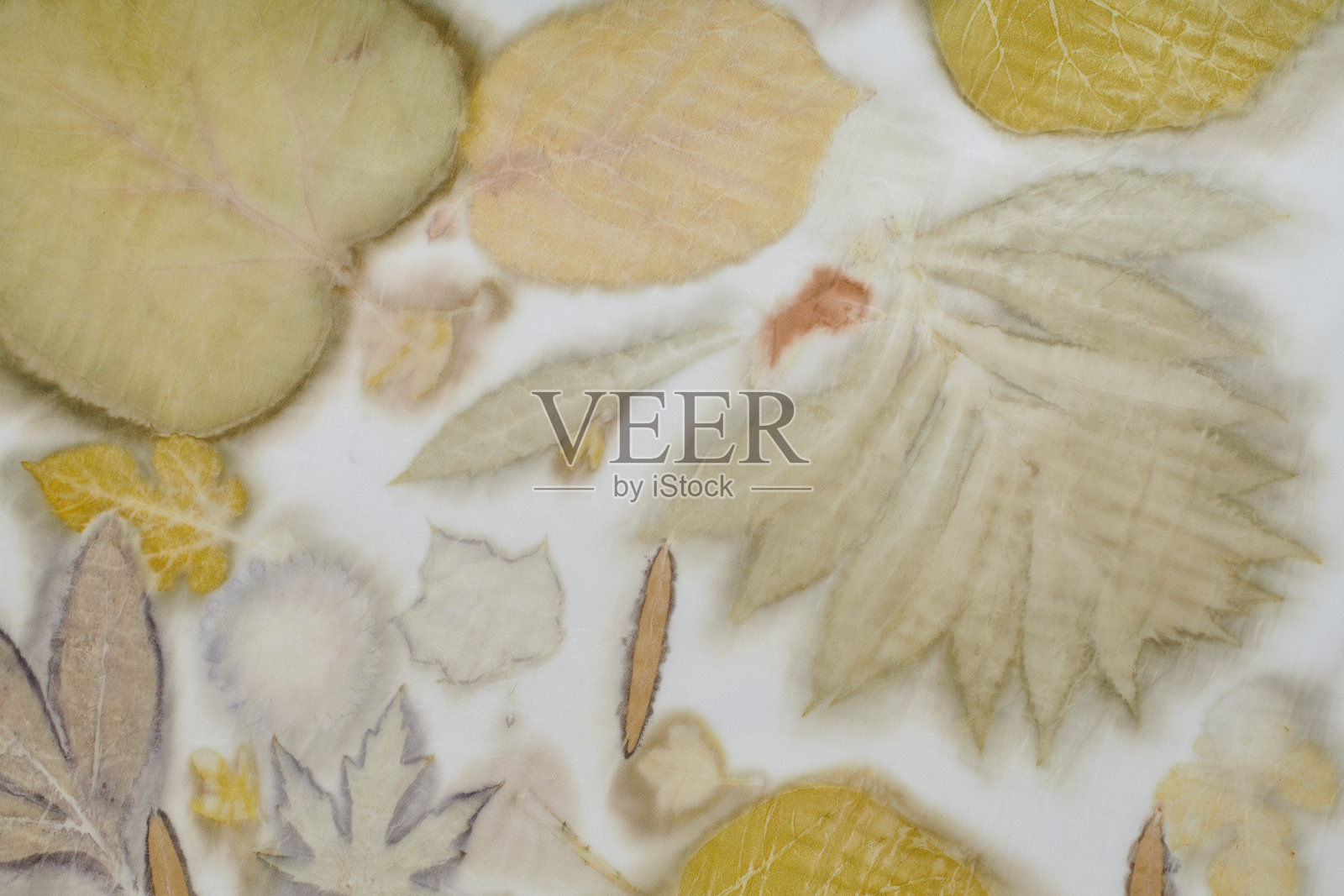 用生态印花技术手工染色的织物条片照片摄影图片