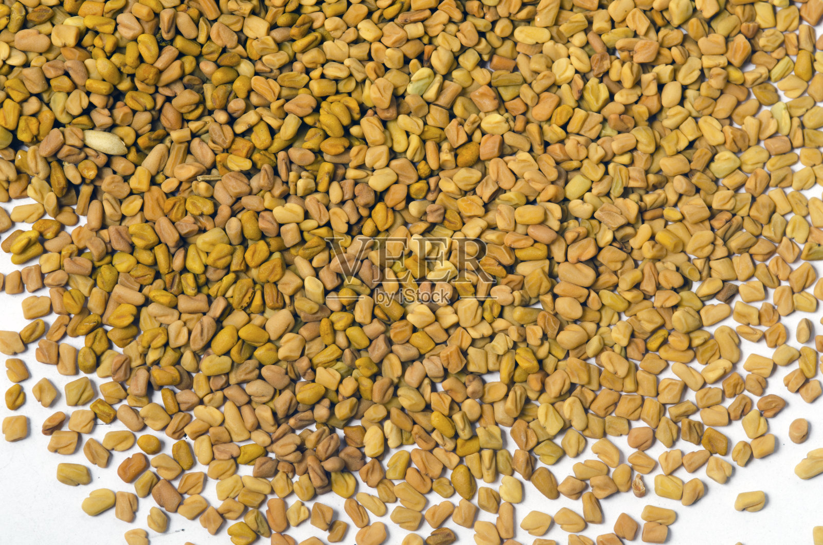 锡兰香料胡芦巴种子，特写照片摄影图片