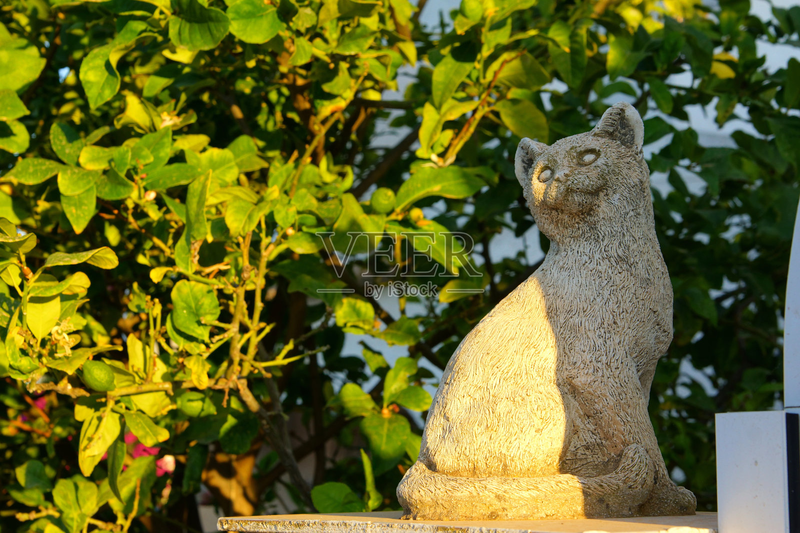 西班牙南部小镇的典型街景。Torrevieja,西班牙。照片摄影图片
