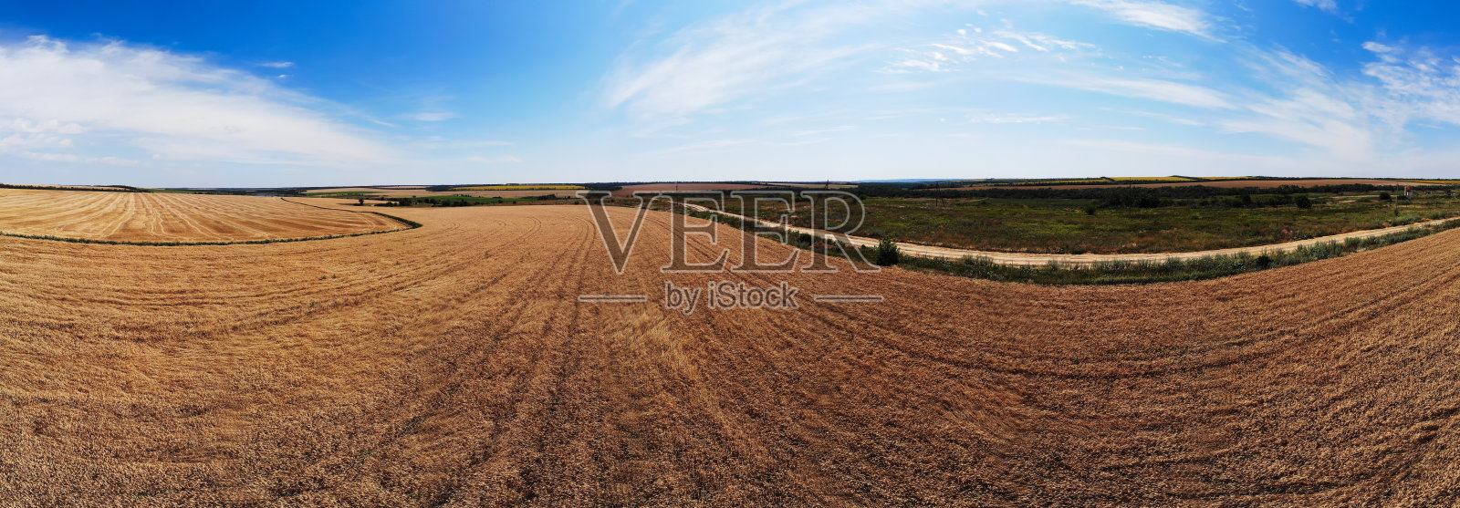 在一个晴朗的日子里，麦田的航拍全景图。农村景观照片摄影图片