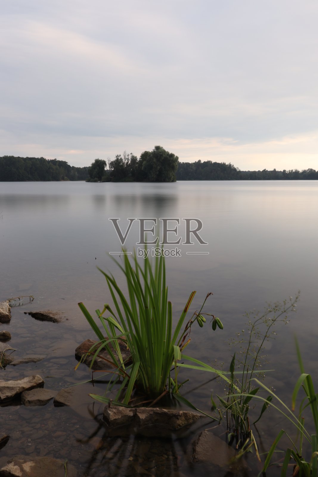 海照片摄影图片