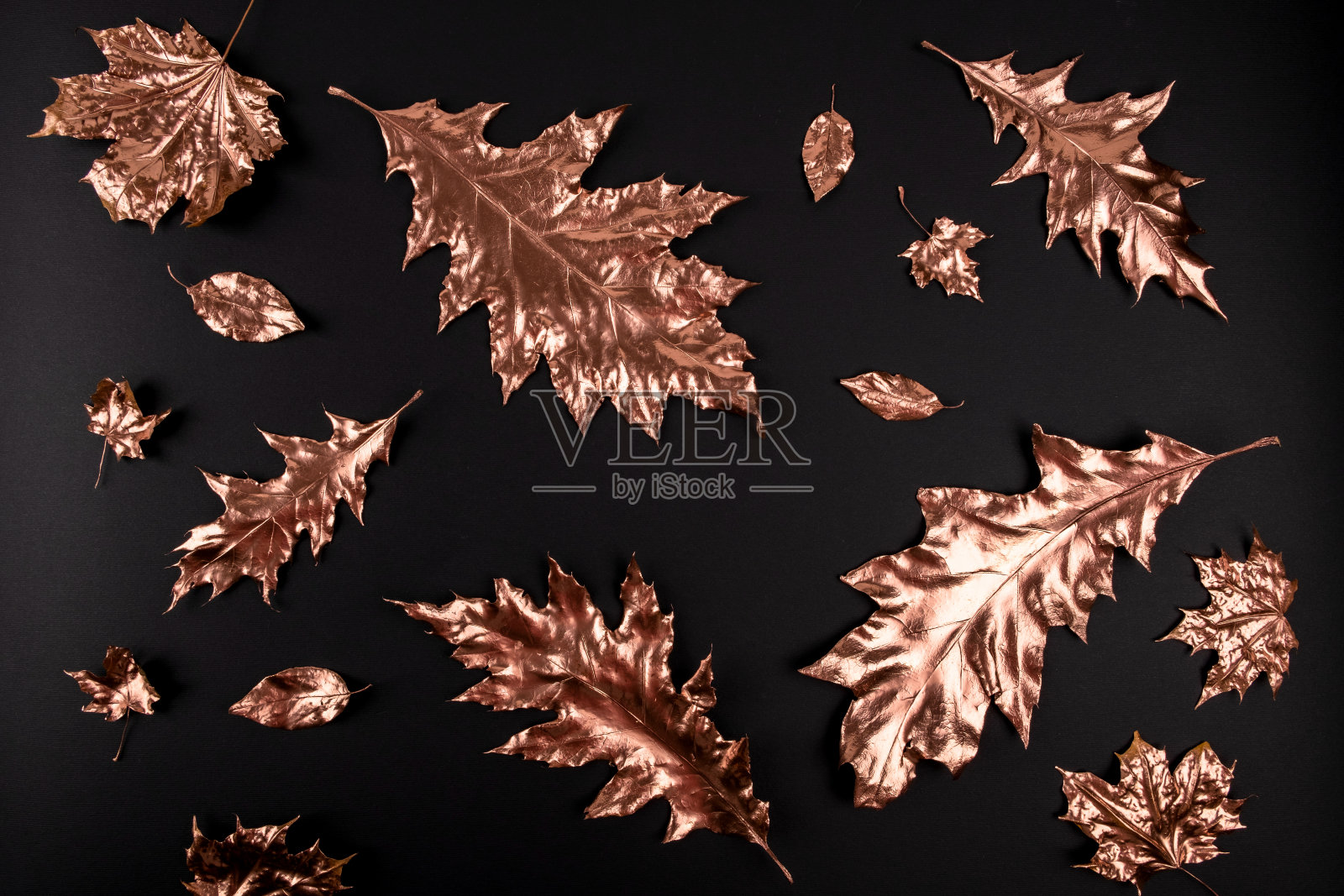 秋天的成分。金色的枫叶在黑色的背景。秋天,秋天的概念。平铺，俯视图，拷贝空间照片摄影图片