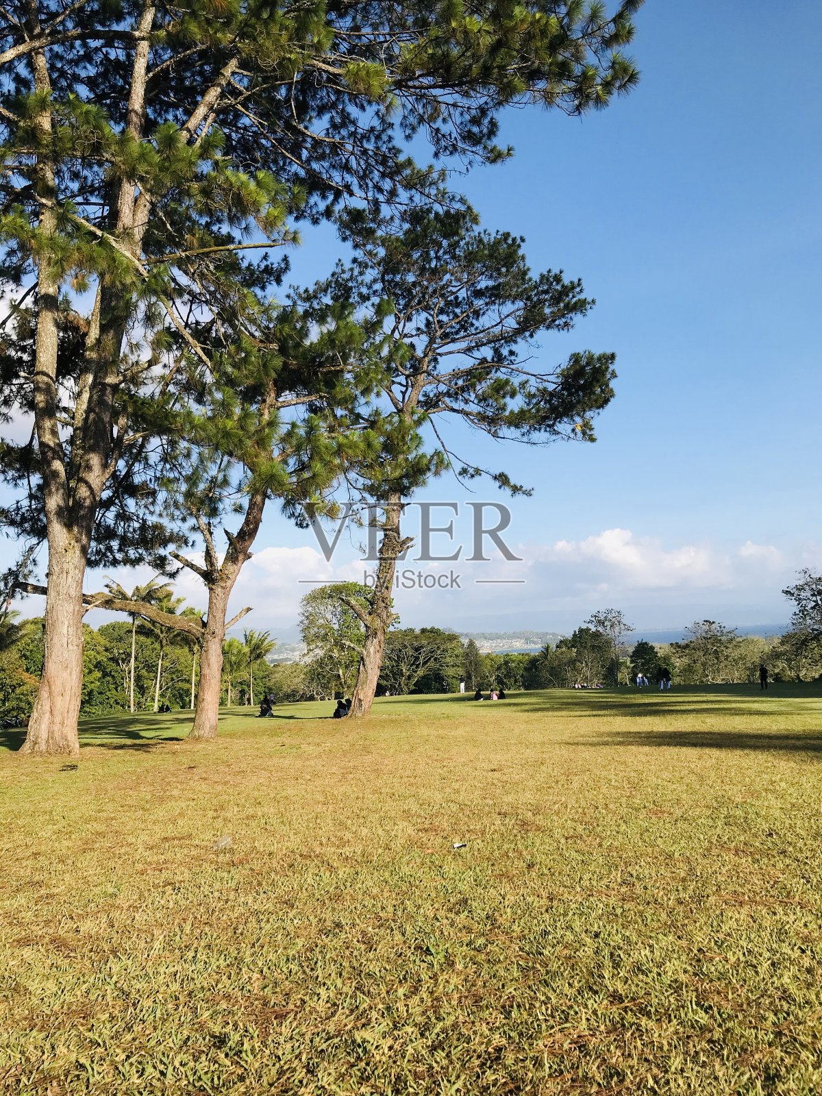 棉兰老州立大学高尔夫球场|照片摄影图片