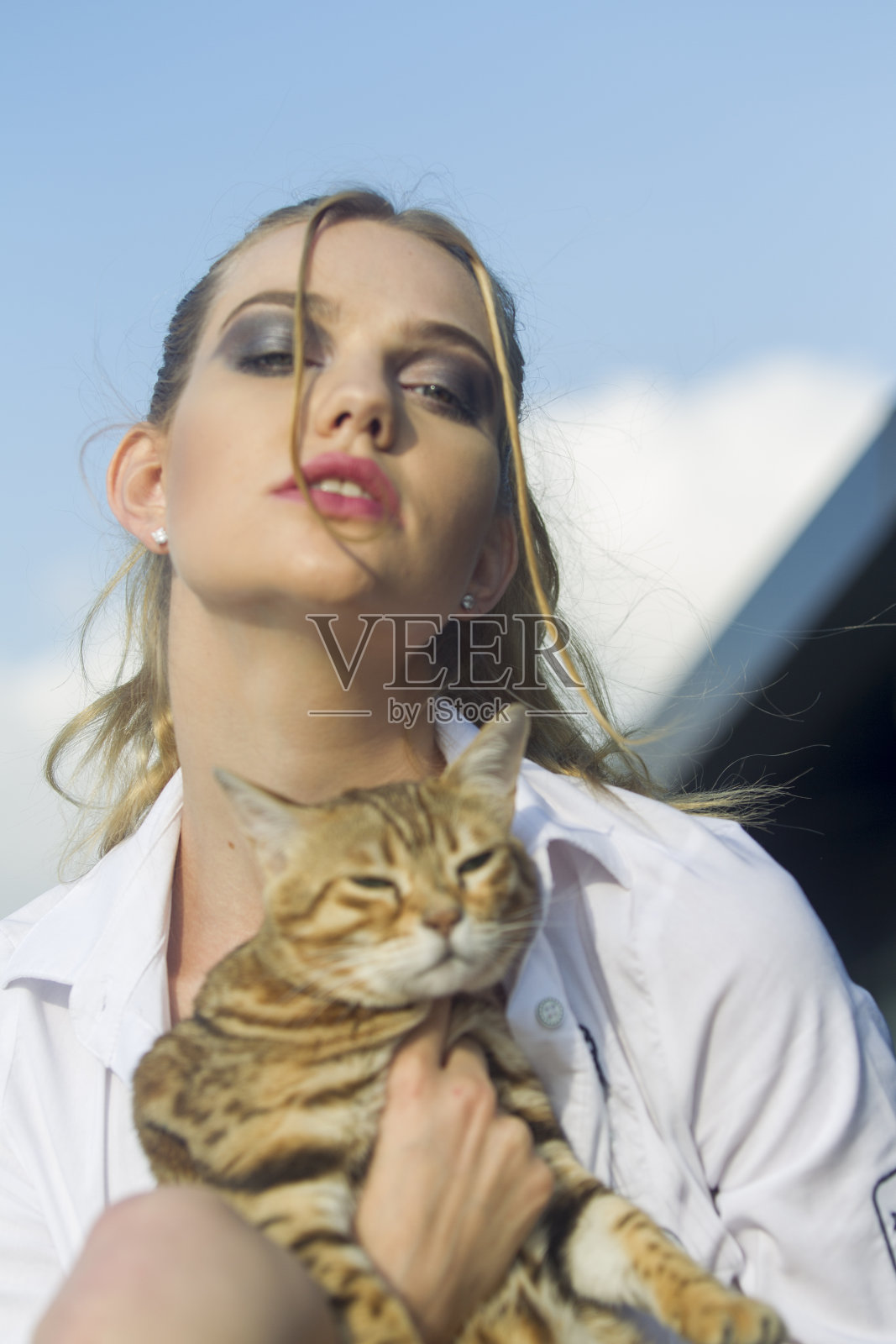 一名年轻女子在阳台和一只猫在土耳其伊斯坦布尔照片摄影图片