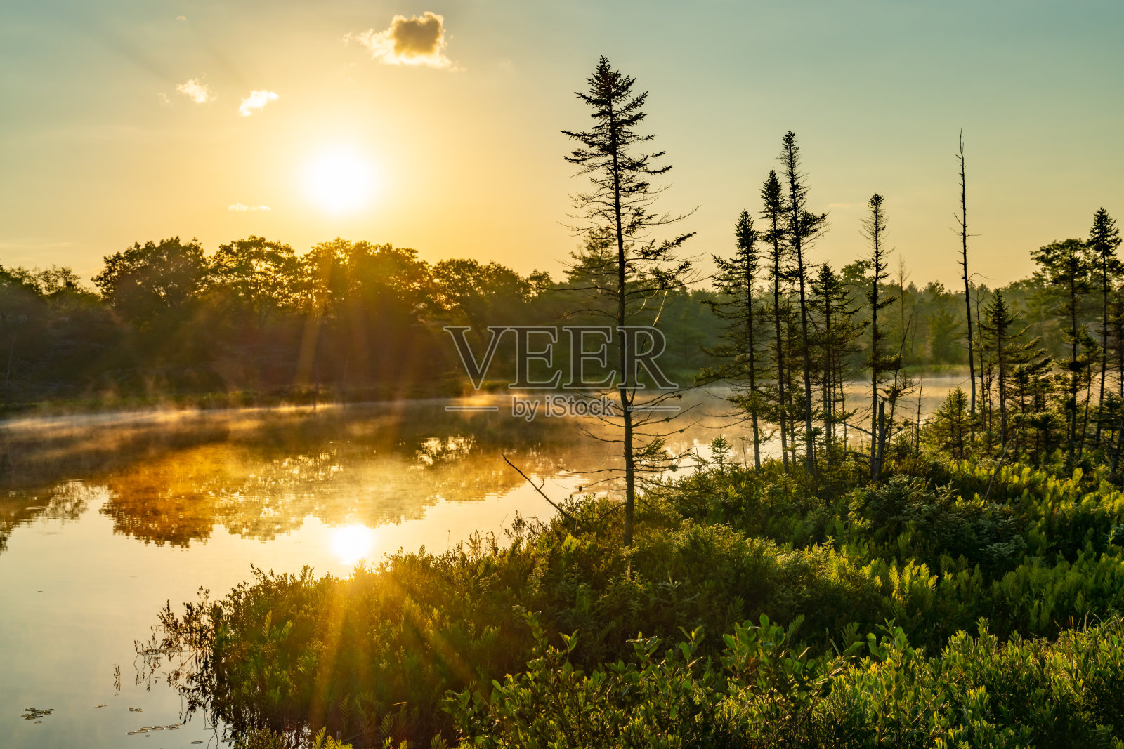 Muskoka Torrance Barrens暗天保护区和高地池塘，Gravenhurst，加拿大照片摄影图片