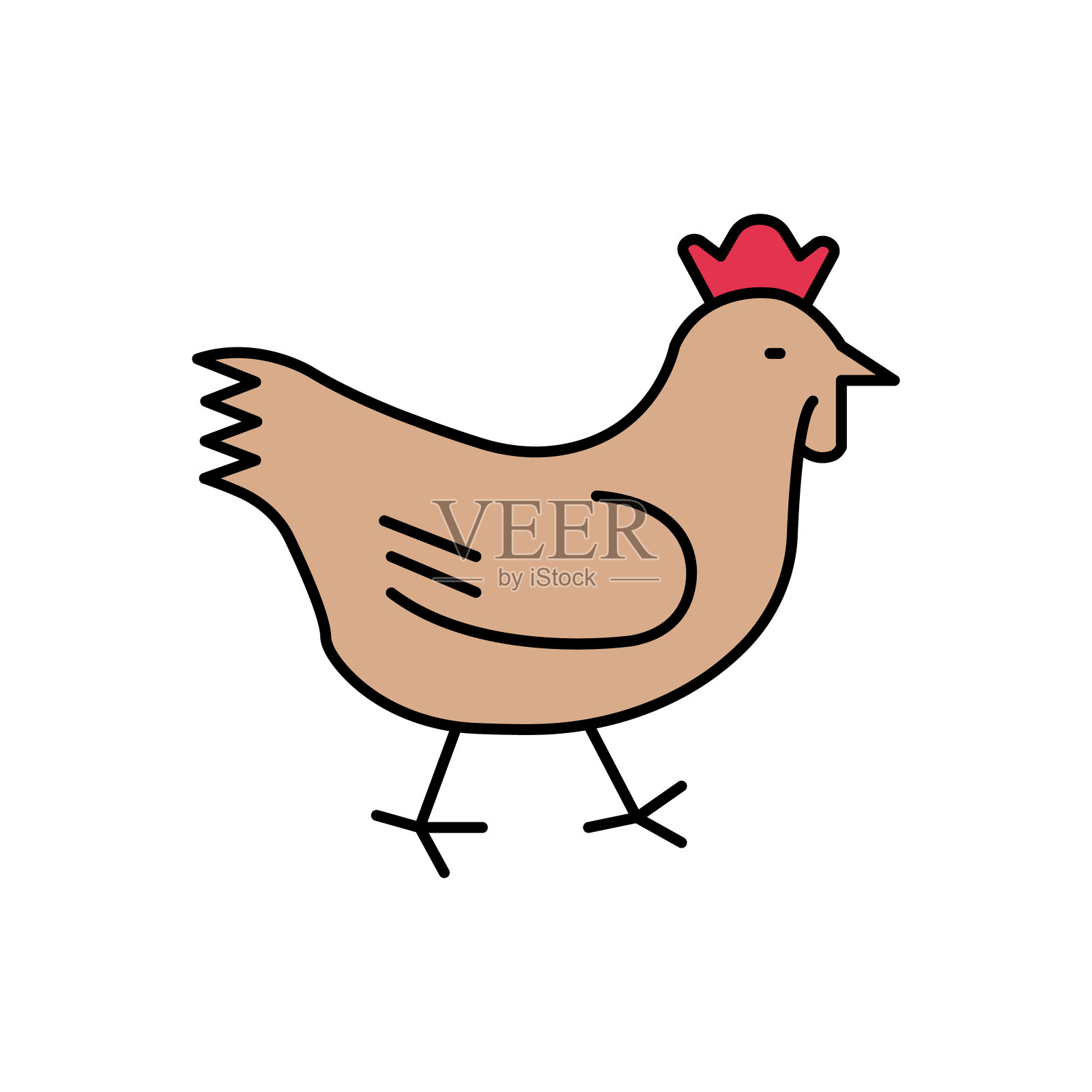 鸡插画图片素材