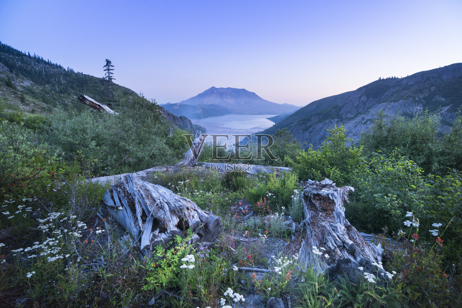 圣海伦斯山和灵湖照片摄影图片
