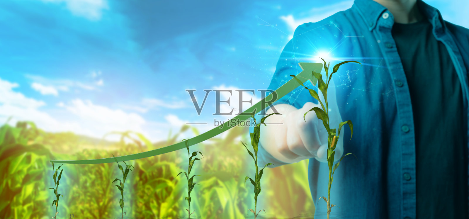 智能农场、农业的未来技术趋势概念。农民利用人工智能提高作物产量生长速度，监测作物健康状况，提高收获质量照片摄影图片