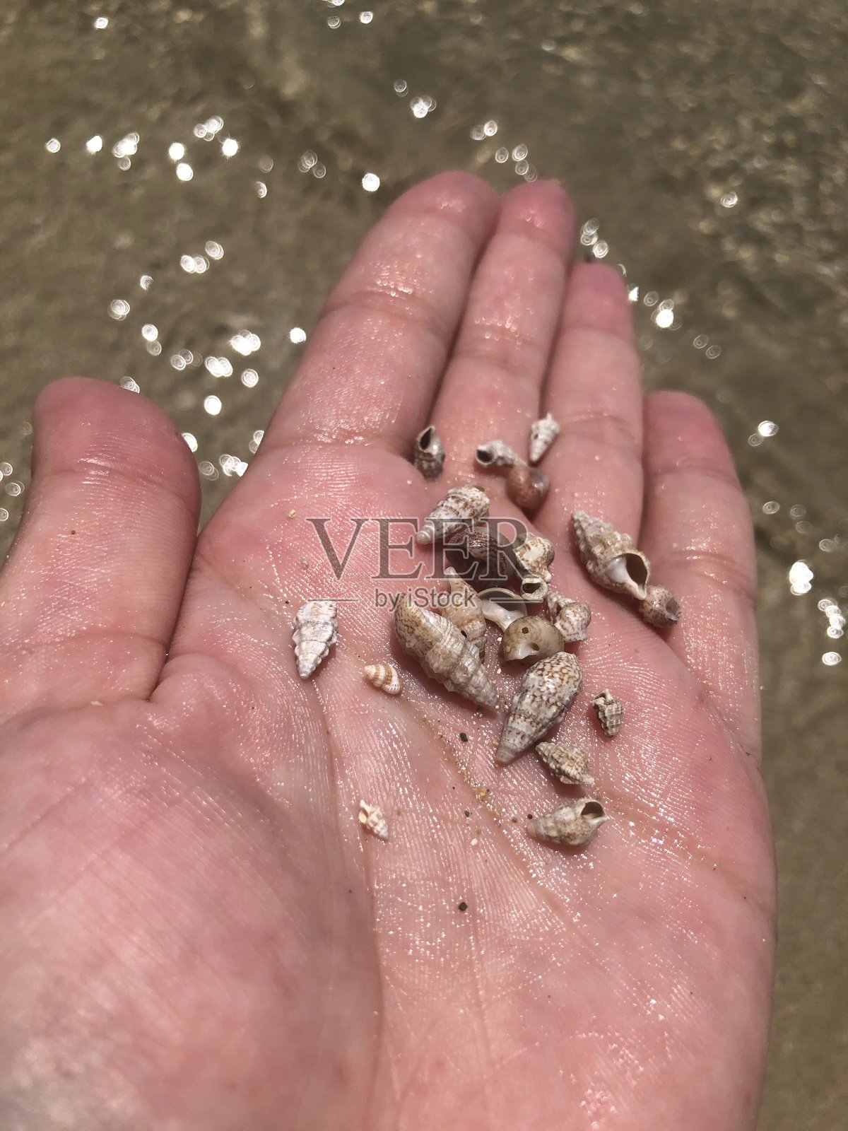 海照片摄影图片