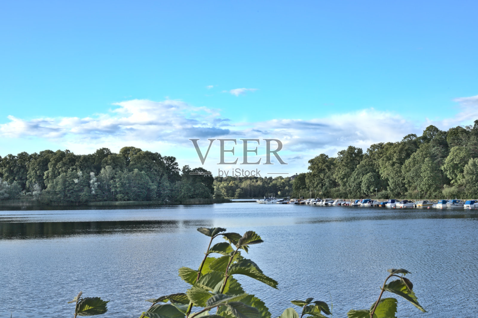 海边的夜景照片摄影图片