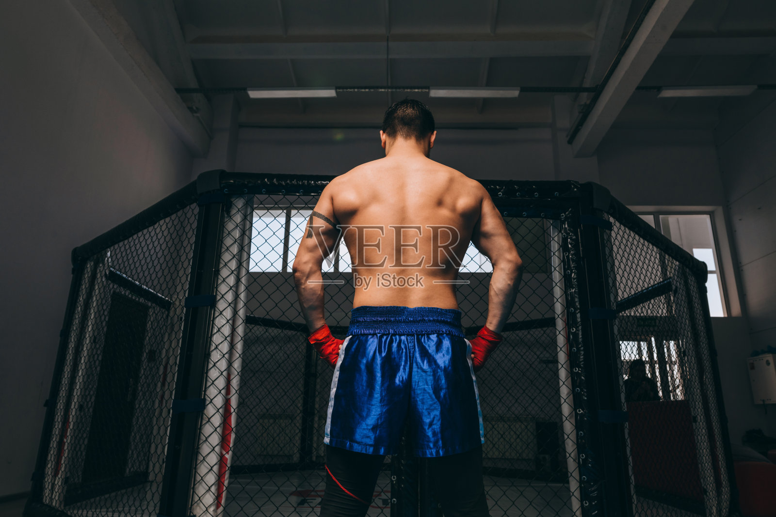 背部肌肉男运动员与紧张的上半身肌肉室内照片摄影图片