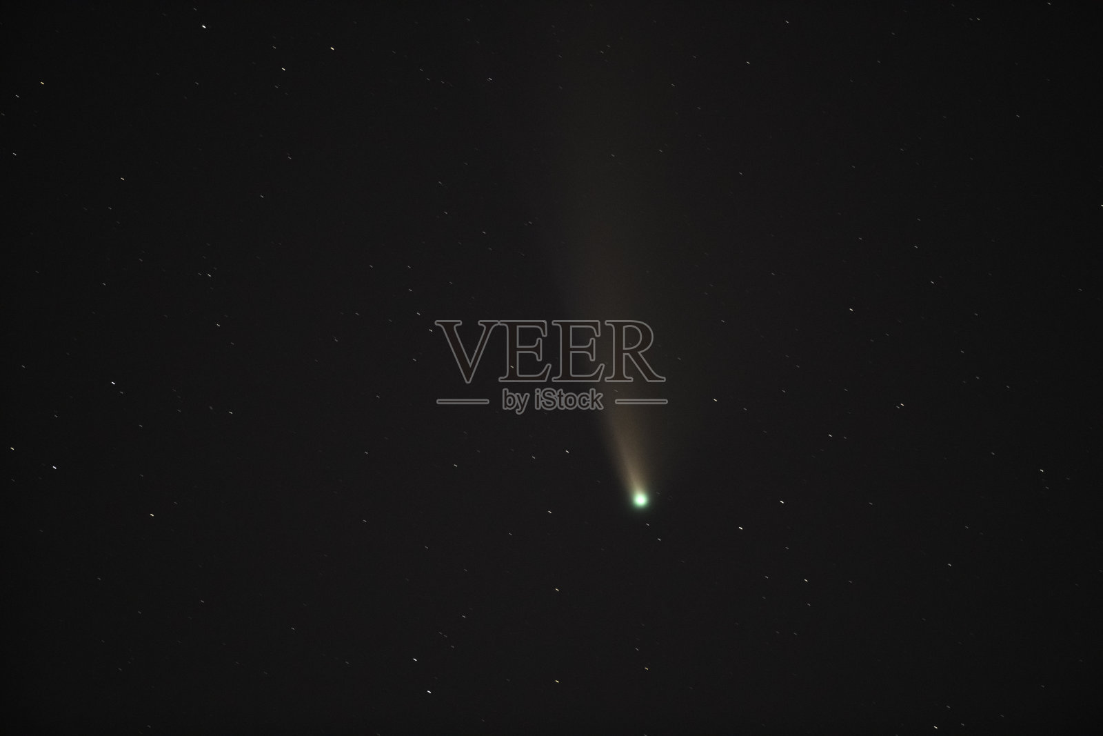 黑暗夜空中的Neowise彗星照片摄影图片