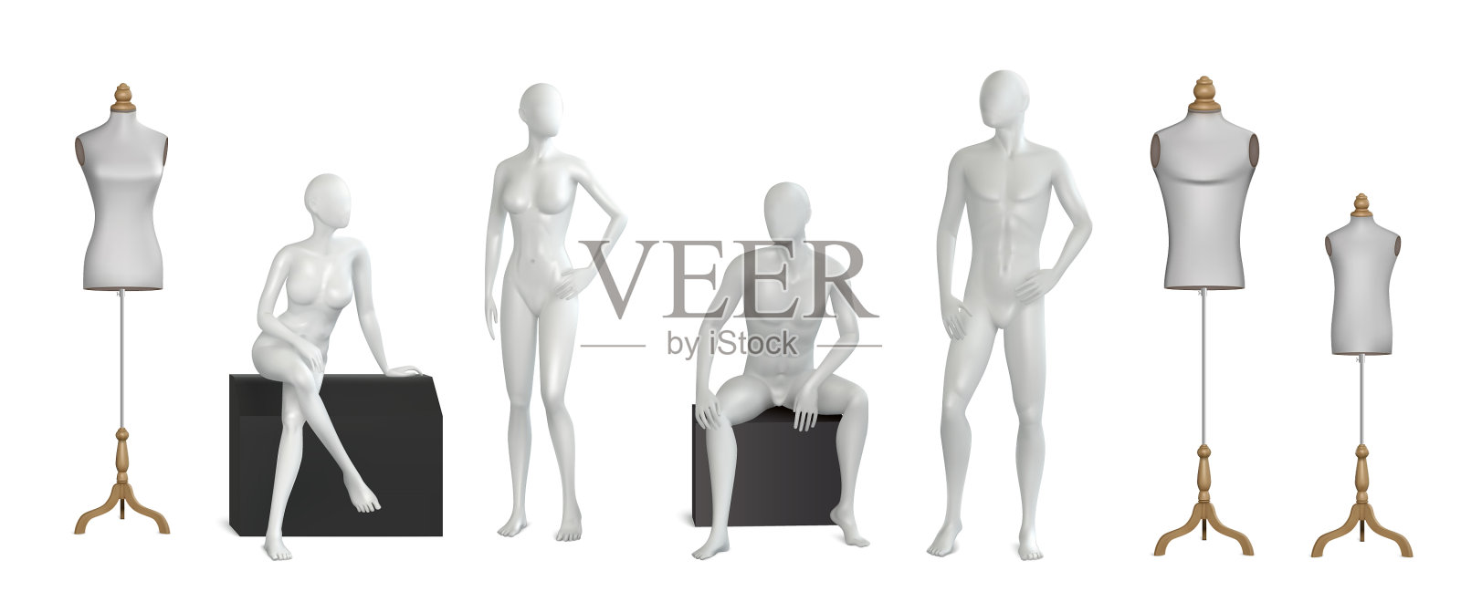 人体模型现实的设置插画图片素材